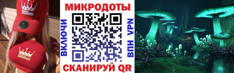 Псилоцибиновые грибы GOLDEN TEACHER  цена наркотик  Карасук 